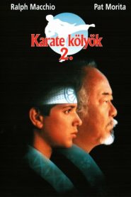 Karate kölyök 2.