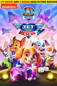 Paw Patrol: Jet To The Rescue