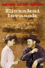 Éjszakai lovasok