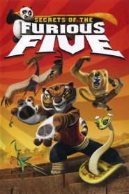 Kung Fu Panda – A harc művészete