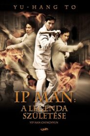 Ip Man: A legenda születése