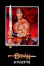 Conan, a pusztító