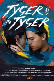 Tyger Tyger