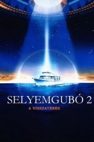 Selyemgubó 2. – A visszatérés