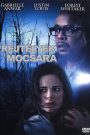Rejtélyek mocsara