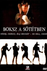 Boksz a sötétben