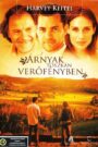 Árnyak toszkán verőfényben