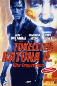 Tökéletes katona 2: Újra fegyverben