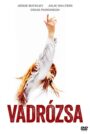 Vadrózsa