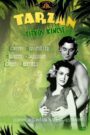 Tarzan titkos kincse