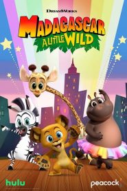Madagascar: A Little Wild Holiday Goose Chase