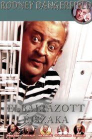 Elbaltázott éjszaka