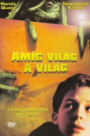 Amíg világ a világ