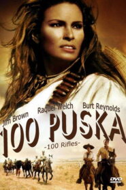 100 puska