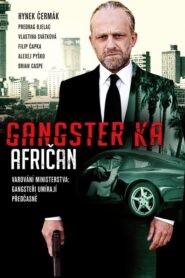 Gengsztervér – Afrika