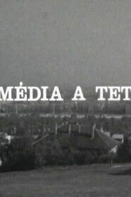 Komédia a tetőn