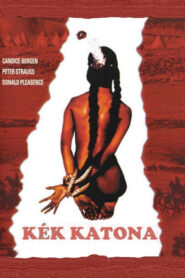 Kék katona