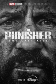 The Punisher: Az utolsó célpont